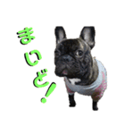 フレブル幸太郎（個別スタンプ：5）
