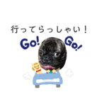 フレブル幸太郎（個別スタンプ：22）