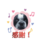 フレブル幸太郎（個別スタンプ：28）