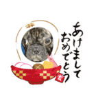 フレブル幸太郎（個別スタンプ：30）