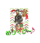 フレブル幸太郎（個別スタンプ：31）