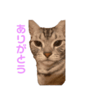 papiとhideの日常（個別スタンプ：6）