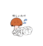 しいたけのスタンプ（個別スタンプ：24）