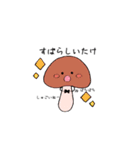 しいたけのスタンプ（個別スタンプ：28）