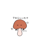 しいたけのスタンプ（個別スタンプ：33）
