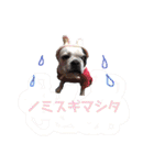 ハク姫（個別スタンプ：25）