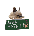 ハク姫（個別スタンプ：33）