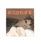 おざきちゃんスタンプ（個別スタンプ：7）