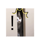 おざきちゃんスタンプ（個別スタンプ：15）