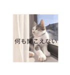 おざきちゃんスタンプ（個別スタンプ：21）
