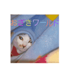 おざきちゃんスタンプ（個別スタンプ：23）