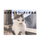 おざきちゃんスタンプ（個別スタンプ：40）