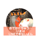クラフト あんず✿ ☆すたんぷ☆（個別スタンプ：5）