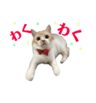 てんとえん（個別スタンプ：7）