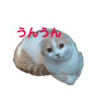 てんとえん（個別スタンプ：14）