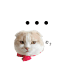 てんとえん（個別スタンプ：18）