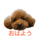 リンちゃんの1日♪（個別スタンプ：1）