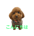 リンちゃんの1日♪（個別スタンプ：2）