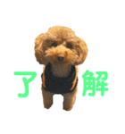 リンちゃんの1日♪（個別スタンプ：4）