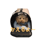 リンちゃんの1日♪（個別スタンプ：9）
