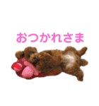リンちゃんの1日♪（個別スタンプ：11）