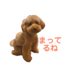 リンちゃんの1日♪（個別スタンプ：12）