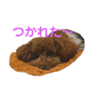 リンちゃんの1日♪（個別スタンプ：13）