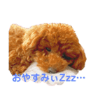 リンちゃんの1日♪（個別スタンプ：14）