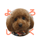 リンちゃんの1日♪（個別スタンプ：15）