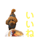 リンちゃんの1日♪（個別スタンプ：16）
