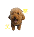 リンちゃんの1日♪（個別スタンプ：18）