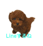 リンちゃんの1日♪（個別スタンプ：21）