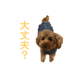 リンちゃんの1日♪（個別スタンプ：22）