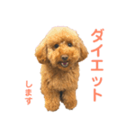 リンちゃんの1日♪（個別スタンプ：23）