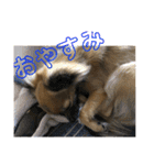 僕は、アムロ。(1)（個別スタンプ：6）