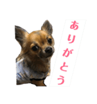 僕は、アムロ。(1)（個別スタンプ：7）