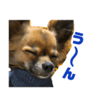 僕は、アムロ。(1)（個別スタンプ：10）