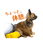 僕は、アムロ。(1)（個別スタンプ：12）