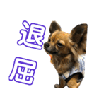 僕は、アムロ。(1)（個別スタンプ：15）