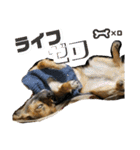 僕は、アムロ。(1)（個別スタンプ：16）
