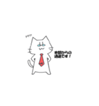 へそねこ店長（個別スタンプ：1）