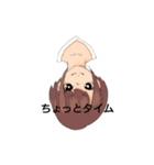 年中真顔（個別スタンプ：7）