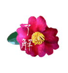 茶道sadoのgreenteaスタンプ（個別スタンプ：2）