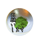 茶道sadoのgreenteaスタンプ（個別スタンプ：6）
