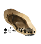 ウチの茶々丸くん（個別スタンプ：5）