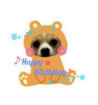 わんこのあずき（個別スタンプ：7）