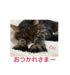 みみっち2（個別スタンプ：6）