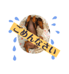 Rai君とfamily達（個別スタンプ：8）
