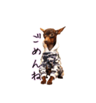 ジェンティーの巣（個別スタンプ：6）