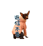 ジェンティーの巣（個別スタンプ：16）